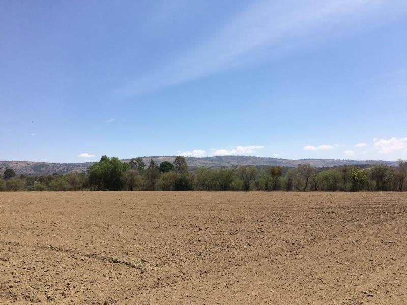 Terreno en venta en El Calvario, Ixtacuixtla de Mariano Matamoros — foto 1 de 10