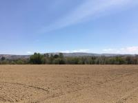 Terreno Comercial en Venta en El Calvario, Ixtacuixtla de Mariano Matamoros