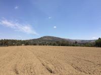 Terreno en venta en El Calvario, Ixtacuixtla de Mariano Matamoros — foto 3 de 10