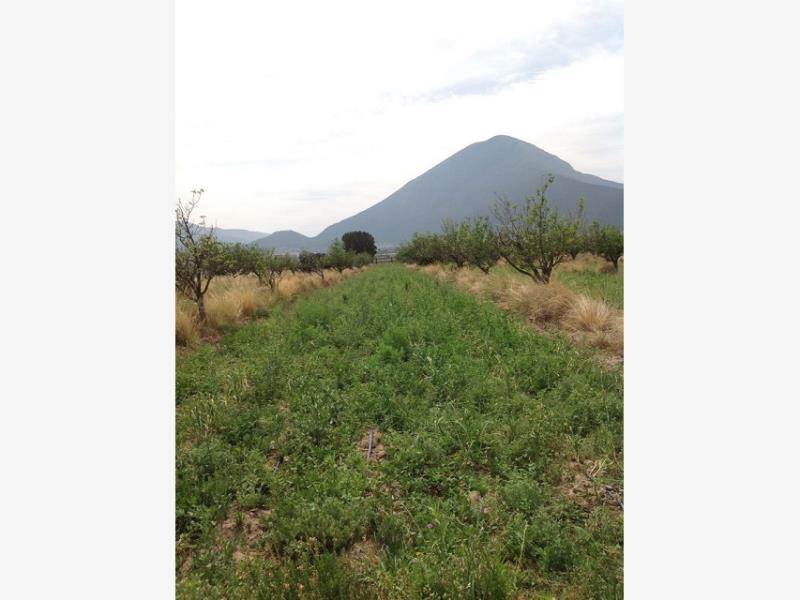 Terreno en venta en El Tunal, Arteaga — foto 1 de 7