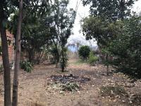 Terreno en venta en Malinalco, Malinalco — foto 2 de 14