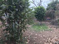Terreno en venta en Malinalco, Malinalco — foto 3 de 14