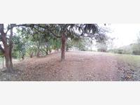 Terreno en venta en Adolfo Ruiz Cortines, Coatzintla — foto 3 de 3