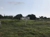 Terreno en La Piedra, Alvarado, Veracruz de Ignacio de la Llave