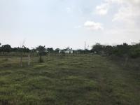 Terreno en venta en La Piedra, Alvarado — foto 2 de 3