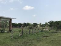 Terreno en venta en La Piedra, Alvarado — foto 3 de 3