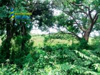 Terreno en venta en Sabanillas, Tuxpan — foto 3 de 6