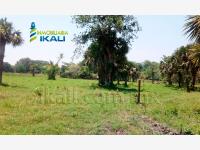 Terreno en venta en Países Bajos (Kilómetro 8), Tuxpan — foto 3 de 10