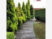 Casa en renta en La Asuncion, Metepec — foto 3 de 16