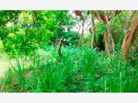 Terreno en venta en Campestre Alborada, Tuxpan — foto 2 de 8