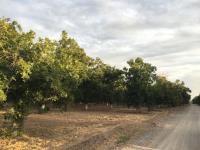 Terreno en venta en La Barranca, Torreón — foto 2 de 10
