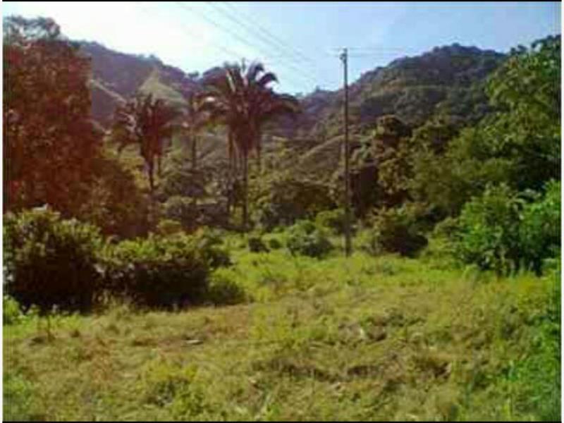 Finca-Rancho en venta en Cofradía de Juárez, Armería — foto 1 de 11