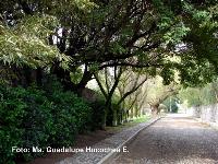 Finca-Rancho en venta en Santiago Tlautla, Tepeji del Río de Ocampo — foto 3 de 9