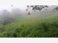 Terreno en venta en El Rodeo, Tepic — foto 2 de 20