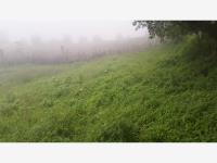 Terreno en venta en El Rodeo, Tepic — foto 3 de 20