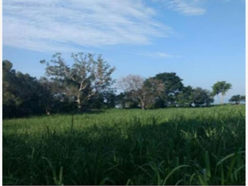 Terreno en venta en Nogueras, Comala