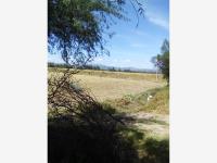 Terreno en venta en Apaseo El Grande Centro, Apaseo El Grande — foto 2 de 5