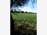 Terreno en venta en Apaseo El Grande Centro, Apaseo El Grande — foto 3 de 5