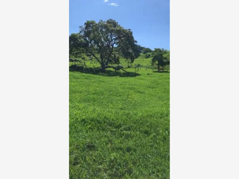 Finca-Rancho en venta en Comala, Comala — foto 1 de 3