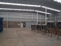 Nave en venta en Agustina Castro, Soledad de Graciano Sánchez — foto 3 de 12