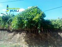 Terreno en venta en Benito Juárez, Tuxpan — foto 2 de 11