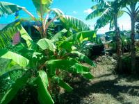 Terreno en venta en Benito Juárez, Tuxpan — foto 3 de 11