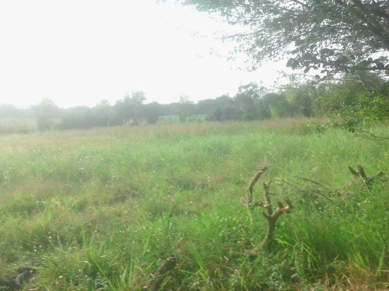 Terreno en venta en Puente de Ixtla Centro, Puente de Ixtla — foto 1 de 6