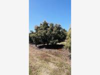 Terreno en venta en San Gabriel, San Gabriel — foto 3 de 4