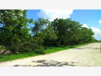 Terreno en venta en Izamal Centro, Izamal — foto 3 de 12