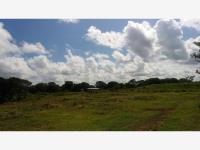 Terreno en venta en Izamal Centro, Izamal — foto 3 de 7