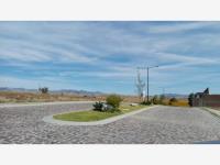 Terreno en venta en Tejabanes del Tajo (Camino al Tajo Kilómetro Dos), Guanajuato — foto 3 de 7