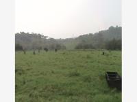 Terreno en venta en Corralillos, Coatzintla, Veracruz de Ignacio de la Llave
