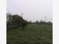 Terreno en venta en Corralillos, Coatzintla — foto 2 de 7