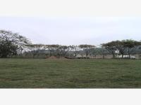 Terreno en venta en Corralillos, Coatzintla — foto 3 de 7