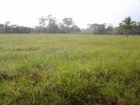 Terreno en venta en Corralillos, Coatzintla — foto 3 de 3