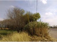 Terreno en renta en Pedro Escobedo Centro, Pedro Escobedo — foto 3 de 5