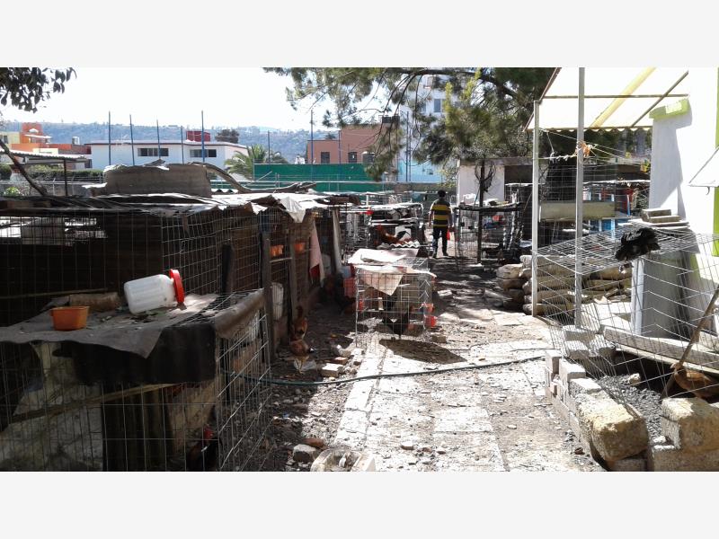 Terreno en venta en Chapultepec Norte, Morelia — foto 1 de 4