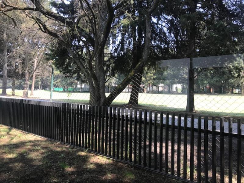 Casa en venta en San Carlos, Metepec — foto 1 de 10