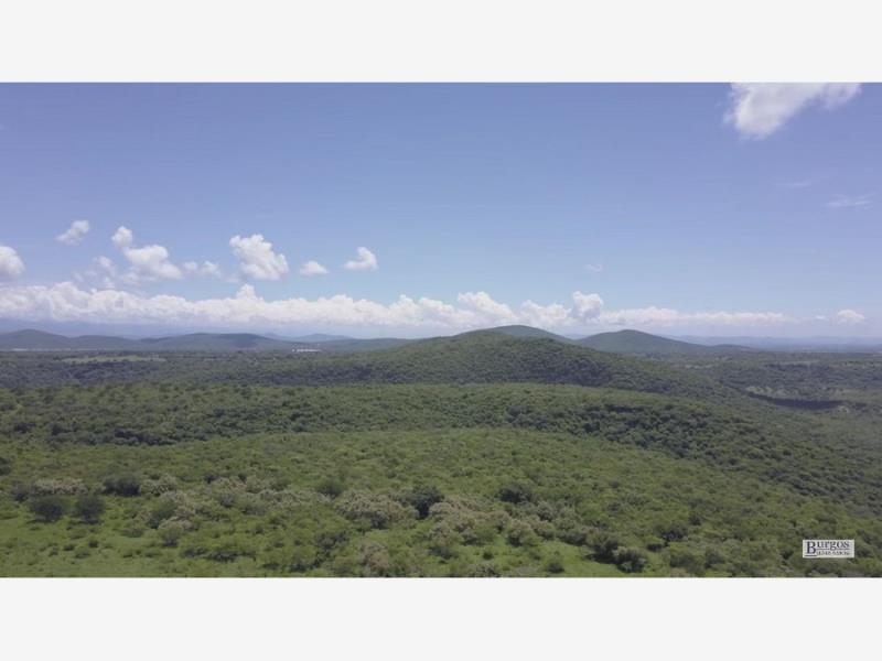 Terreno en venta en El Mirador, Amacuzac — foto 1 de 8