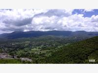 Terreno en venta en El Mirador, Amacuzac — foto 2 de 8