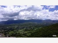 Terreno en venta en El Mirador, Amacuzac — foto 3 de 8