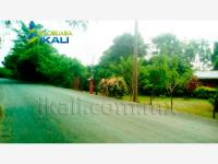 Terreno en venta en Palma Sola, Coatzintla — foto 2 de 23