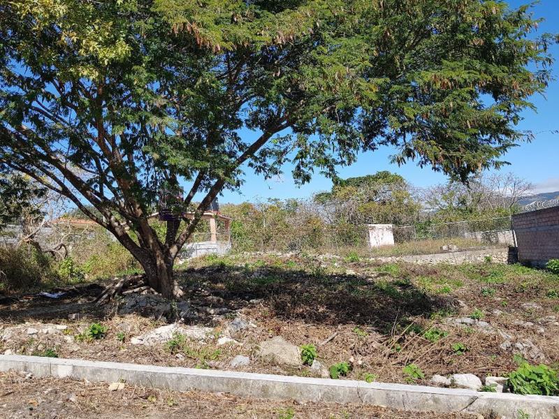 Terreno en venta en Berriozabal Centro, Berriozábal — foto 1 de 4