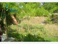 Terreno en venta en Tepetzintla, Tepetzintla — foto 2 de 5