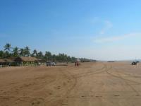 Terreno en venta en Armeria Centro, Armería, Colima