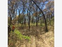 Terreno en venta en San Jose El Vidrio, Nicolás Romero — foto 3 de 9