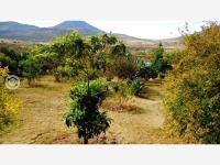 Finca-Rancho en venta en El Pajarito, Huimilpan — foto 2 de 26