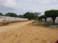 Finca-Rancho en venta en Sayula de Alemán, Sayula de Alemán — foto 3 de 46