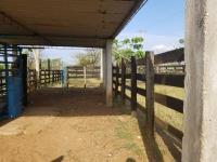 Finca-Rancho en venta en Ojo de Agua, Juan Rodríguez Clara — foto 2 de 20