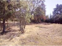 Terreno en venta en Huitzilac, Huitzilac — foto 2 de 10